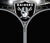 Raiders Zipper.jpg