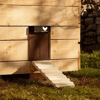 batterypoweredautomaticchickenhousedoor2.png