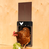 automaticchickenhousedooropenerchickencoopdoor3.png