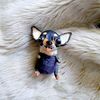 cute-handmade-dog-chihuahua-puppy (1).jpg