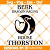 Berk-Dragon-Racing-House-Thorston.jpg