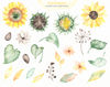 3 Sunflowers watercolor elements.jpg