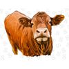MR-1152023184659-red-angus-png-sublimation-designred-angus-pngwestern-red-image-1.jpg