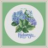 Hydrangea_e5.jpg