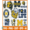 Michigan Wolverines 1.jpg