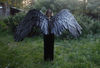 adult wings costume, Maleficent costume, black angel wings, devil wings, crow cosplay wings, raven costume, final fantasy, articulating wings, anime cosplay win