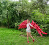 adult wings costume, Hawks costume, red angel wings, devil wings, final fantasy, articulating wings, anime cosplay wings, moving anime wings, movable wings, my 