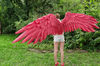 adult wings costume, Hawks costume, red angel wings, devil wings, final fantasy, articulating wings, anime cosplay wings, moving anime wings, movable wings, my 