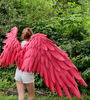 adult wings costume, Hawks costume, red angel wings, devil wings, final fantasy, articulating wings, anime cosplay wings, moving anime wings, movable wings, my 