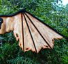 halloween outlook, Jeepers Creepers wings, halloween costume, devil wings, halloween accessory, horror wings cosplay, anime cosplay wings, Jeepers Creepers, Vam