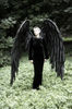 maleficent wings, overlord cosplay, black angel wings, Crowley Good Omens, Crowley wings cosplay, The Perfect Being, black wings costume, Black cosplay wings, G