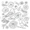 WILD BIRDS [site].jpg