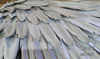 Ikaros angel wings, Angel wings costume, Angel wearable wings, aziraphale cosplay, Articulating wings, Silver moving wings, Heaven angel wings, White moveable w