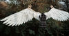 Venti cosplay wings, angel wings, anime cosplay wings, Aziraphale wings, Crimvael wings, Genshin cosplay, Hiyori Kotobuki, props for pregnancy, Venti's wings, G