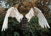 Venti cosplay wings, angel wings, anime cosplay wings, Aziraphale wings, Crimvael wings, Genshin cosplay, Hiyori Kotobuki, props for pregnancy, Venti's wings, G