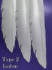 Venti cosplay wings, angel wings, anime cosplay wings, Aziraphale wings, Crimvael wings, Genshin cosplay, Hiyori Kotobuki, props for pregnancy, Venti's wings, G