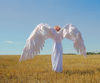 adult wings costume, white angel wings, Ikaros angel wings, articulating wings, anime cosplay wings, Aziraphale wings, Aion wings, Gabriel angel wings, fairy wi