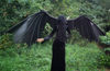 halloween outlook, Bat wings cosplay, halloween costume, toothless cosplay, halloween accessory, horror wings cosplay, dragon wings cosplay, Vampire wings, Batm