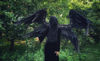 adult wings costume, Death Angel wings, black angel wings, devil wings, Angel of Death wings Hell Boy cosplay, Black cosplay wings, crow raven costume, anime co