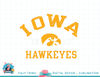Iowa Hawkeyes Vintage Masters Officially Licensed png.jpg