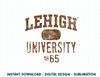 Lehigh Mountain Hawks 1865 Vintage  .jpg