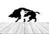 Wild Boar Hunter, Wildlife, Hunting, Fishing, Car Stickers Wall Sticker Vinyl Decal Mural Art Decor