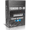 Yamaha CS-30 NKI BOX ART.png