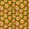 Pineapple Peel 24.jpg