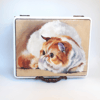 Wooden box with a painted cat . Brown jewelry box  (5).jpg