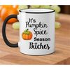 MR-262023124447-its-pumpkin-spice-season-bitches-mug-funny-coffee-mug-image-1.jpg