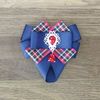 Plaid_bow_tie_pin