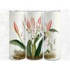 MR-662023114439-crinum-macowanii-flower-digital-art-sublimation-300dpi-image-1.jpg