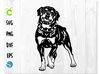 Dog Rottweiler svg 1.jpg