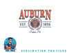 Auburn Tigers Seal Vintage Gray Officially Licensed png, digital download copy.jpg