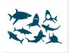 Shark Bundle 3.jpg