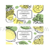 PINEAPPLE LEMON LABELS [site].png