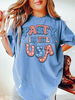 Comfort Colors® Retro Party in the USA Graphic Tee, Comfort Colors 4th of July Graphic Tee, Party in the USA Graphic Tee, USA Comfort Colors - 1.jpg
