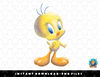 Looney Tunes Tweety Bird Airbrushed png, sublimation, digital download.jpg