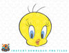 Looney Tunes Tweety Bird Big Face Smile png, sublimation, digital download.jpg