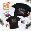 Christmas Family Bear Sweatshirts, Mama Bear Papa Bear Baby Bear Shirts, Matching Family Outfit, Gift For Christmas, Family Outfit Set - 1.jpg