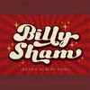 MR-57202375038-billy-sham-font-retro-font-vintage-font-groovy-font-retro-image-1.jpg