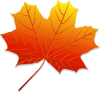 Leaves (6).png