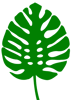 Leaves (6).png