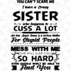 You-Cant-Scare-Me-I-Have-A-Crazy-Sister-Trending-Svg-TD17082020.png