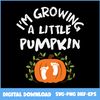 Diffendalbrus-I’m-Growing-A-Little--Pumpkin.jpeg