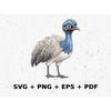 MR-1572023225315-cartoon-emu-svg-png-eps-commercial-use-clipart-vector-image-1.jpg