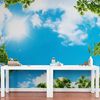 blue-sky-wall-mural-Peel-and-Stick.jpg