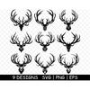 MR-197202335459-deer-moose-elk-antler-horn-trophy-taxidermy-preserved-image-1.jpg