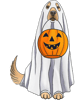golden retriever ghost pumpkin halloween fall .pnggolden retriever ghost pumpkin halloween fall .png