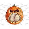 MR-2072023111411-baseball-fall-pumpkin-pngfall-sublimation-designs-image-1.jpg